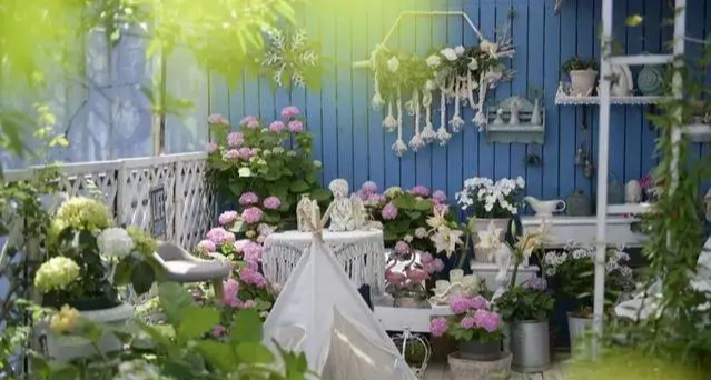 Khu vườn trên sân thượng gây sốt: Cô giáo Tiếng Anh khẳng định không sai lầm khi chi tiền tỷ mua nhà mặt đất để có khuôn viên trồng hoa-13