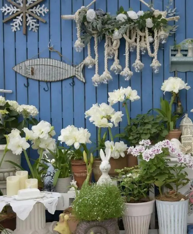 Khu vườn trên sân thượng gây sốt: Cô giáo Tiếng Anh khẳng định không sai lầm khi chi tiền tỷ mua nhà mặt đất để có khuôn viên trồng hoa-14