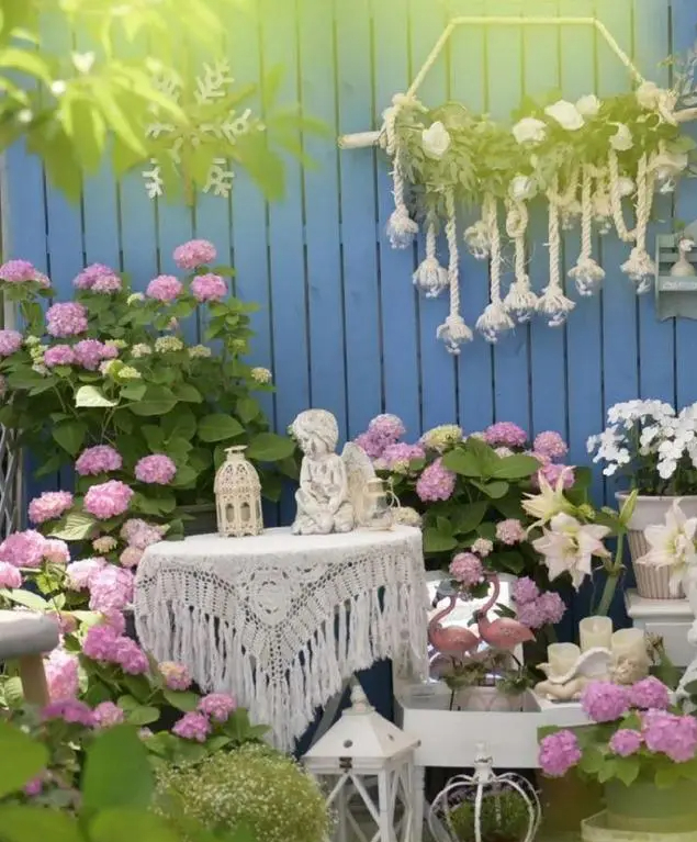 Khu vườn trên sân thượng gây sốt: Cô giáo Tiếng Anh khẳng định không sai lầm khi chi tiền tỷ mua nhà mặt đất để có khuôn viên trồng hoa-15