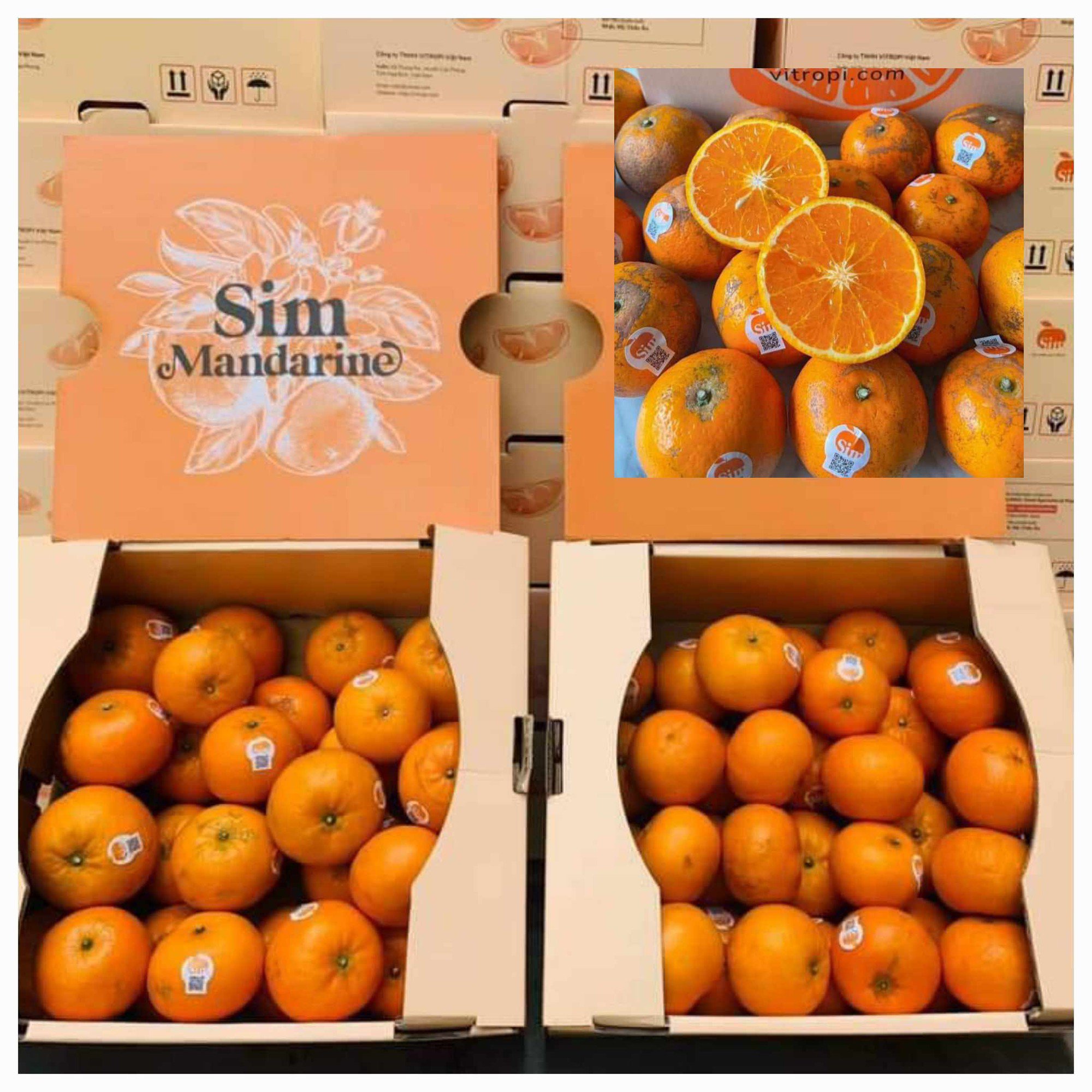 Sự thật về Quýt sim giá 40.000 đồng/kg bán tràn lan trên MXH-2