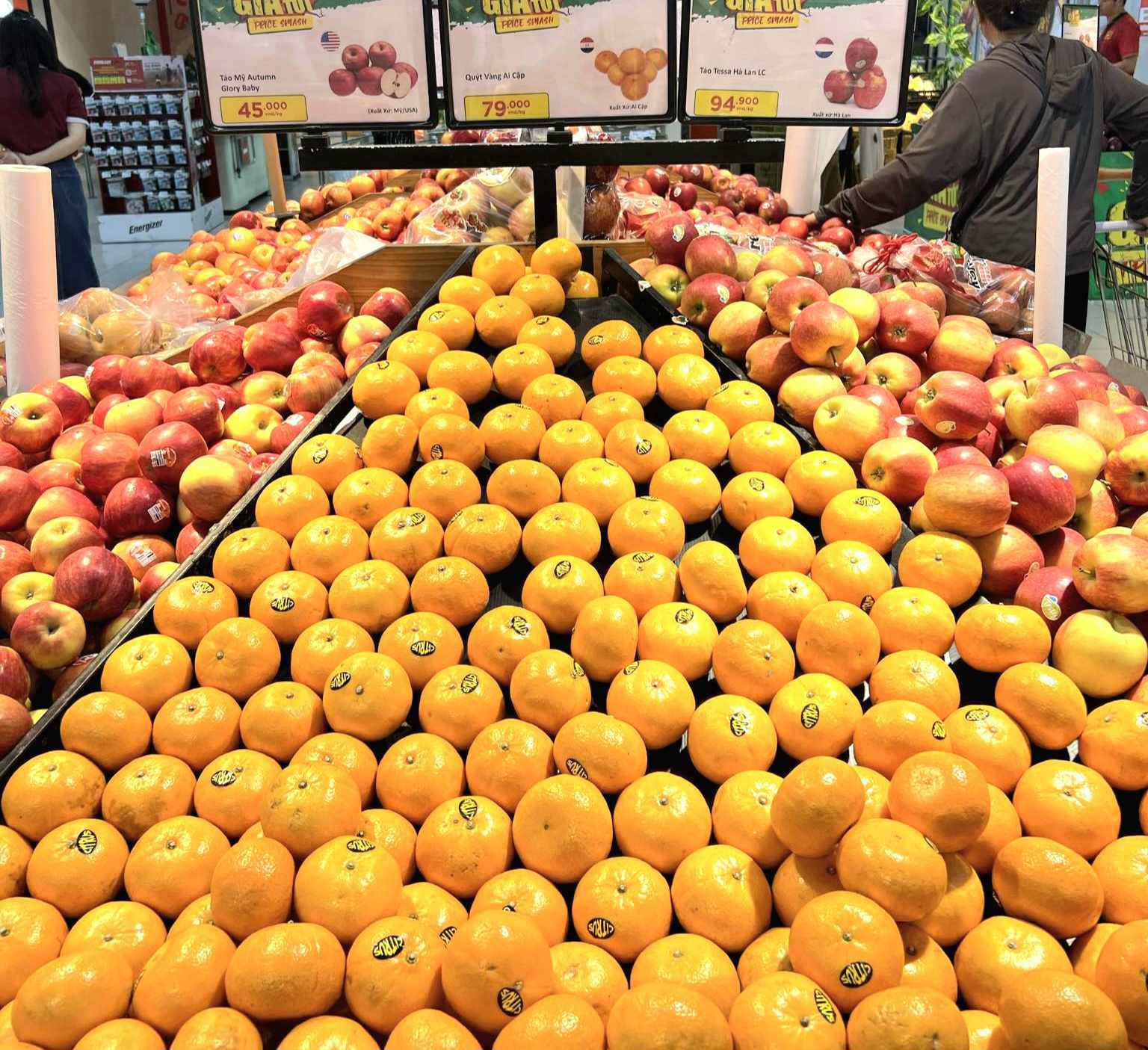 Sự thật về Quýt sim giá 40.000 đồng/kg bán tràn lan trên MXH-3