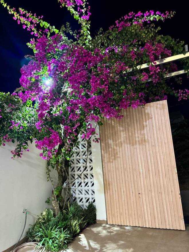 Làm trợ lý Hồ Ngọc Hà, chàng trai tậu được biệt thự cực xinh xắn, không kém nhà đàn chị-3