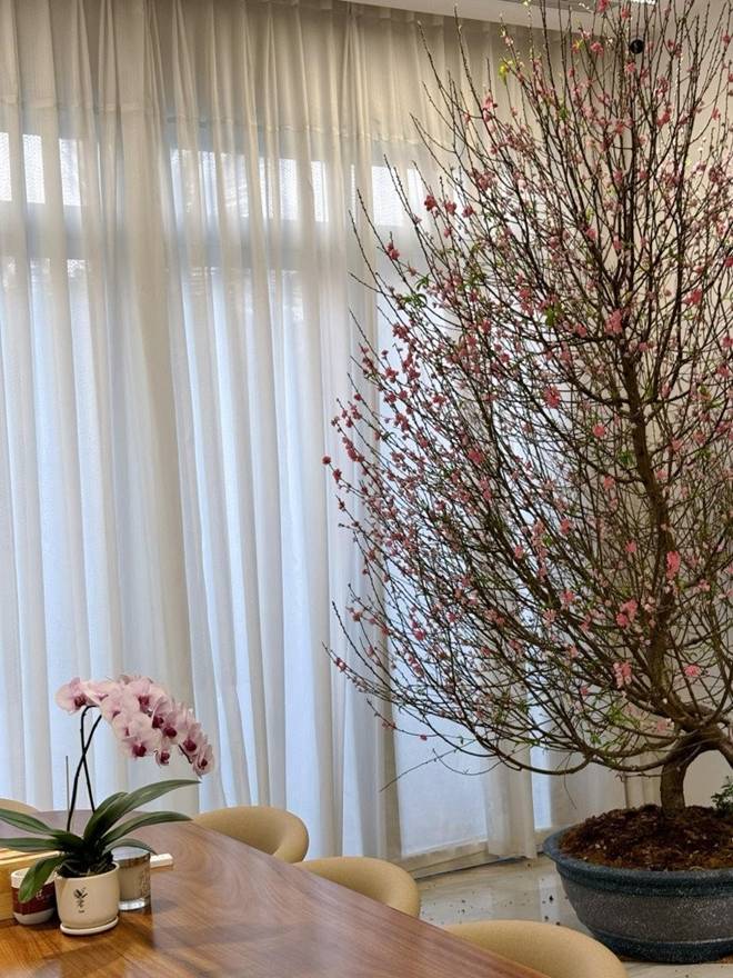 Làm trợ lý Hồ Ngọc Hà, chàng trai tậu được biệt thự cực xinh xắn, không kém nhà đàn chị-15