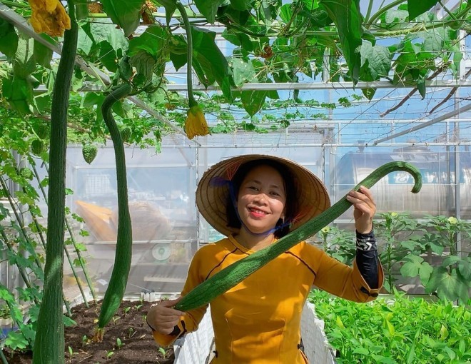 Làm vườn trên sân thượng để chữa bệnh, mẹ đảm Đà Nẵng nhận về nhiều hơn mong đợi-1