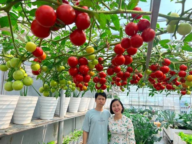 Làm vườn trên sân thượng để chữa bệnh, mẹ đảm Đà Nẵng nhận về nhiều hơn mong đợi-2