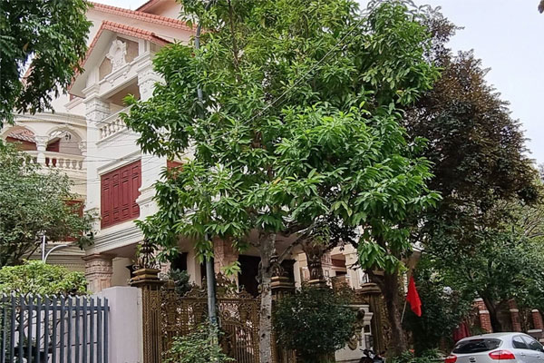 Khối tài sản khủng giải quyết ra sao khi cựu GĐ Công an Hải Phòng Đỗ Hữu Ca bị tuyên 10 năm tù?-2