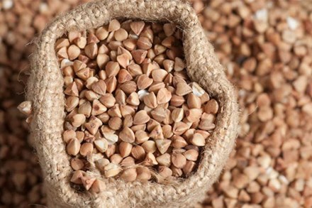 Thức hạt bổ dưỡng, tốt cho tim mạch, ngừa ung thư, tiểu đường: Thu hoạch từ loài hoa 