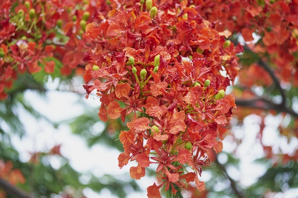 15 ngày tới, không muốn cũng phải nhận quà từ Thần tài, 4 con giáp này đu đỉnh may mắn, làm đâu thắng đó-5