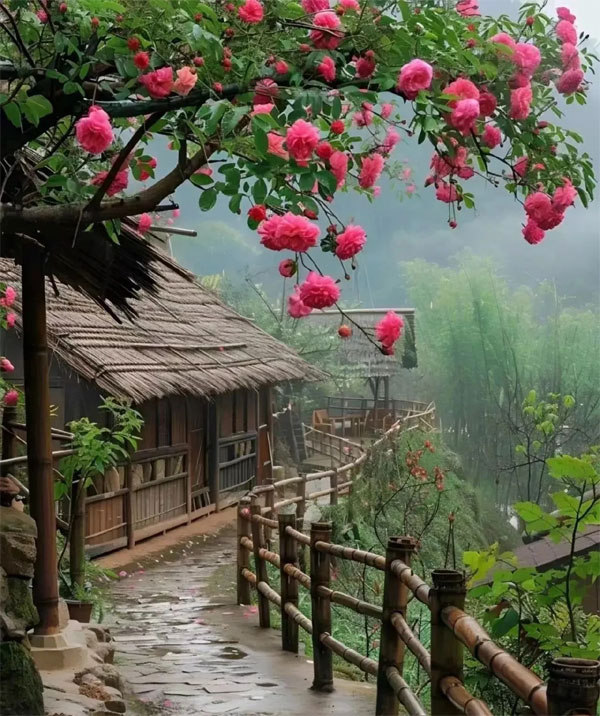 Tử vi tháng 3 Âm lịch: Top 4 con giáp vượng vận quý nhân, thu nhập phiên bội, lo lắng tan biến-4