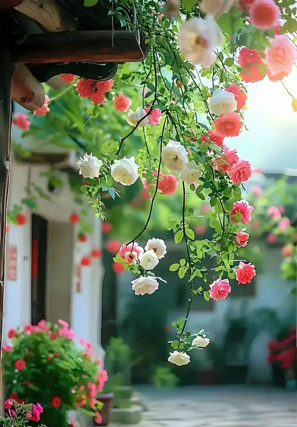 Tử vi tháng 3 Âm lịch: Top 4 con giáp vượng vận quý nhân, thu nhập phiên bội, lo lắng tan biến-5