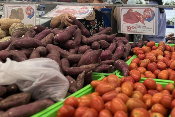 Vì sao giá khoai lang rớt thảm chỉ còn 3.000 đồng/kg?-1