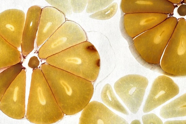 Loại gia vị ăn sống thì hôi, ăn chín lại thơm giúp chống ung thư, cải thiện sức khỏe tim mạch: Chợ Việt vừa nhiều vừa sẵn-2