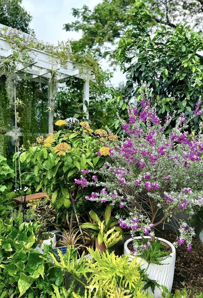 Có khu vườn mát rượi rộng 10.000m2, nữ ca sĩ núp dưới gốc cây trốn cái nóng xì khói của Sài Gòn-6