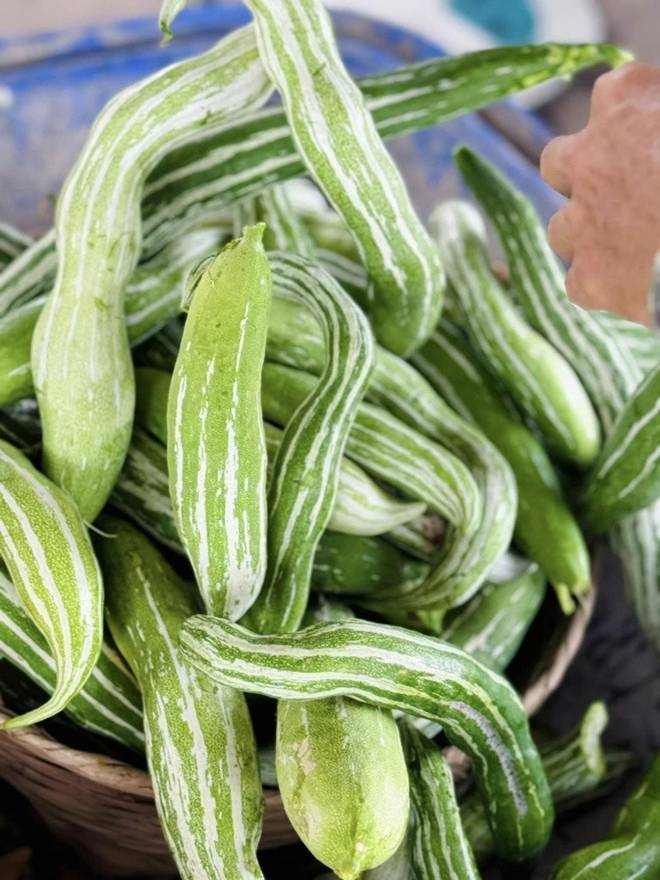 Có khu vườn mát rượi rộng 10.000m2, nữ ca sĩ núp dưới gốc cây trốn cái nóng xì khói của Sài Gòn-8