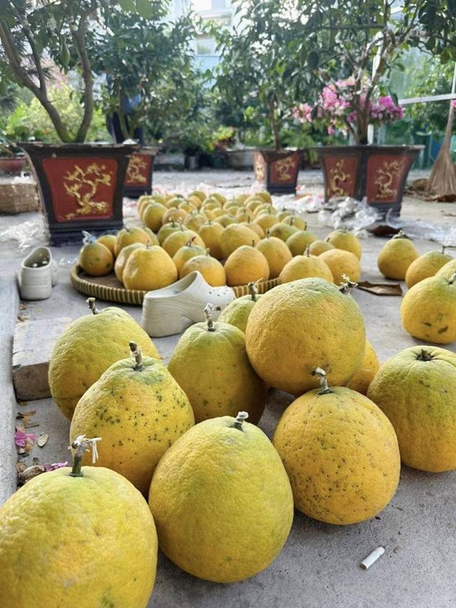 Có khu vườn mát rượi rộng 10.000m2, nữ ca sĩ núp dưới gốc cây trốn cái nóng xì khói của Sài Gòn-9