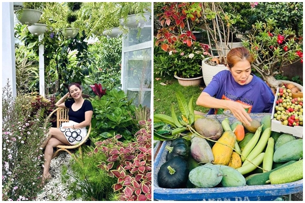 Mẹ đảm mê trồng cây sân thượng: Rau củ ăn quanh năm không hết phải mang tặng, vườn đẹp đến nỗi đồng nghiệp lẫn học sinh mầm non đến check-in-38