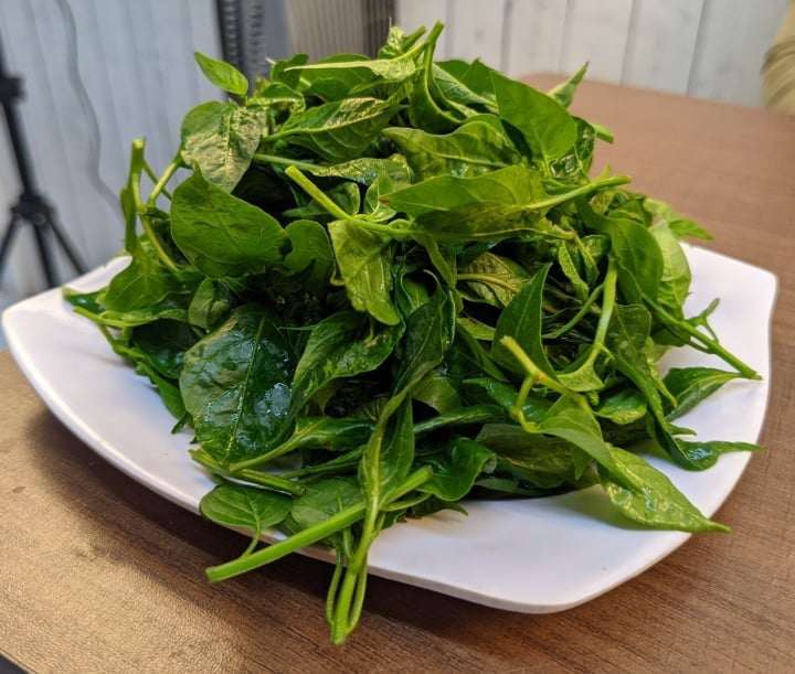 Loại lá tưởng vô tác dụng lại thành rau đặc sản tới 60.000 đồng/kg, chữa đủ bệnh, chế biến đủ món ngon-1