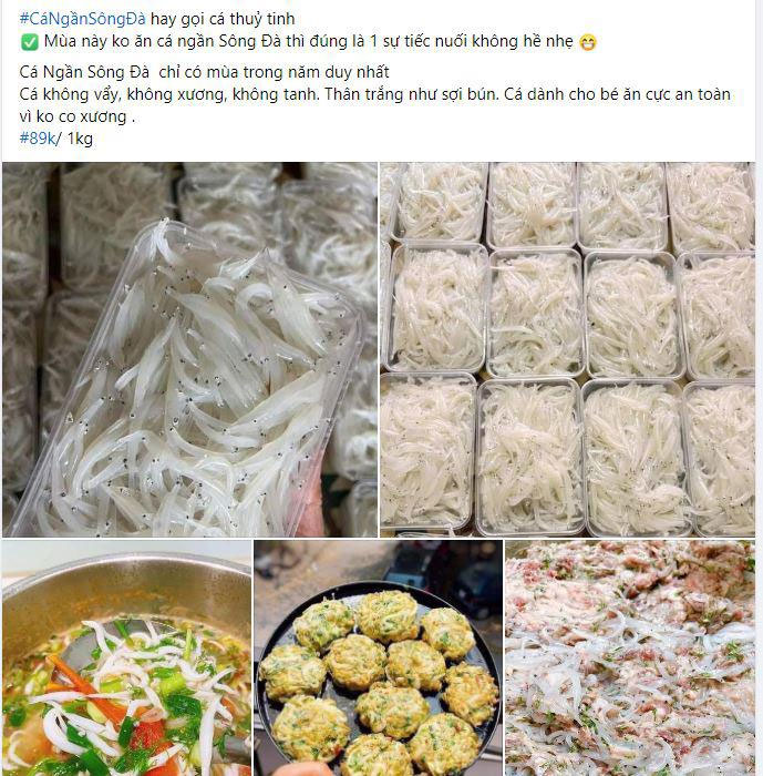 Bất ngờ cá ngần sông Đà giá chỉ 89.000 đồng/kg, người bán nói gì?-1