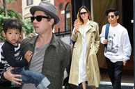 Angelina Jolie và Brad Pitt có 3 người con nuôi nhưng tại sao cậu con trai người Việt - Pax Thiên lại nổi tiếng nhất?