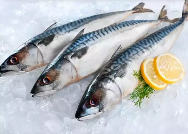 Lý do bạn nên ăn cá 2 lần một tuần-2