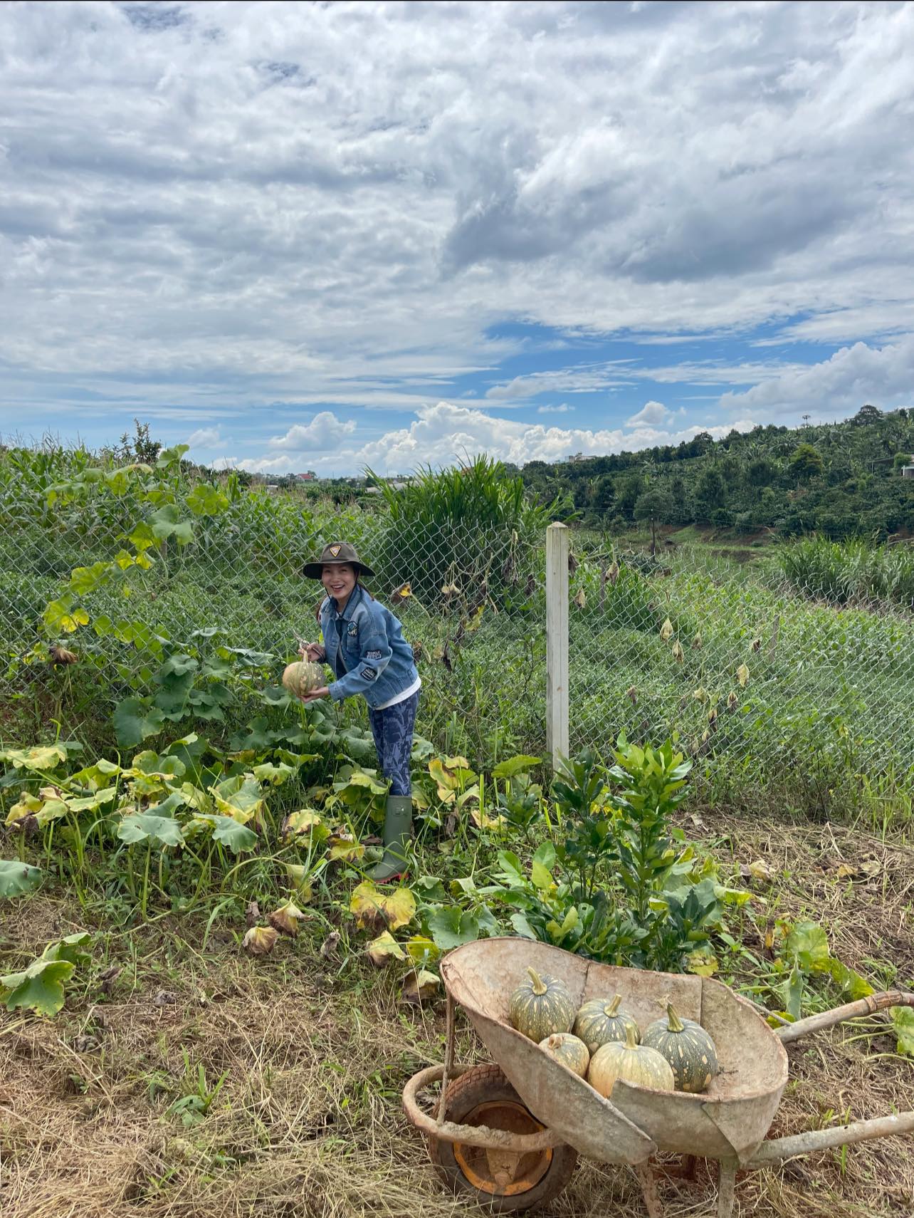 Nữ ca sĩ bỏ phố về rừng, thoát bệnh trầm cảm nhờ sống xanh cùng chồng nhạc sĩ trong nhà vườn 2.000m2-8