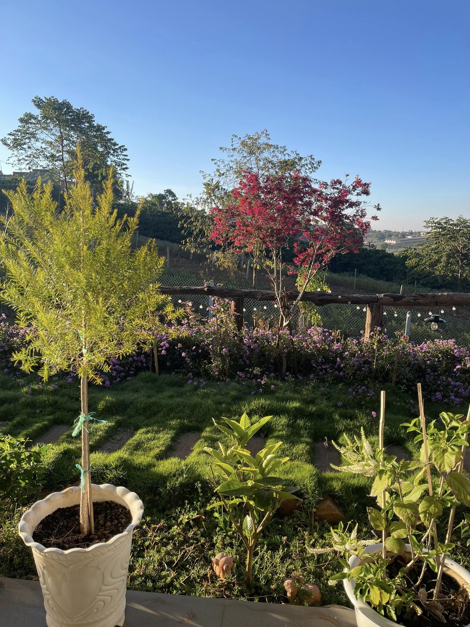 Nữ ca sĩ bỏ phố về rừng, thoát bệnh trầm cảm nhờ sống xanh cùng chồng nhạc sĩ trong nhà vườn 2.000m2-11