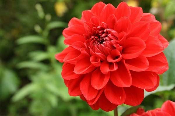 2 tuần tới, 3 con giáp đón thử thách, mở cơ hội, kiên trì ắt thành công, tiền về đầy túi-2