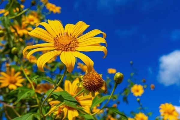 Các chuyên gia phong thủy tiết lộ: 4 con giáp này có vận may tài lộc bất ngờ khi về già-3