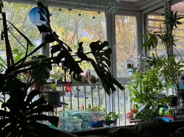 Chuyển nhà từ chung cư tầng 25 xuống tầng 1, tôi khóc ròng vì 5 ĐIỀU: Hối hận vì không nghe lời bạn thân!-2