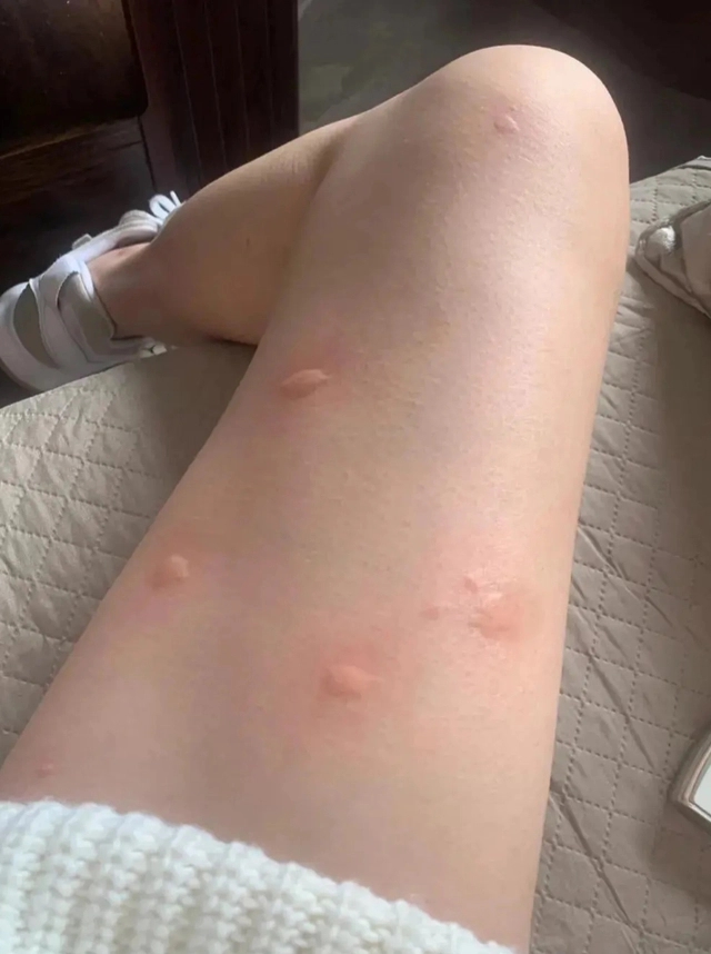 Chuyển nhà từ chung cư tầng 25 xuống tầng 1, tôi khóc ròng vì 5 ĐIỀU: Hối hận vì không nghe lời bạn thân!-3