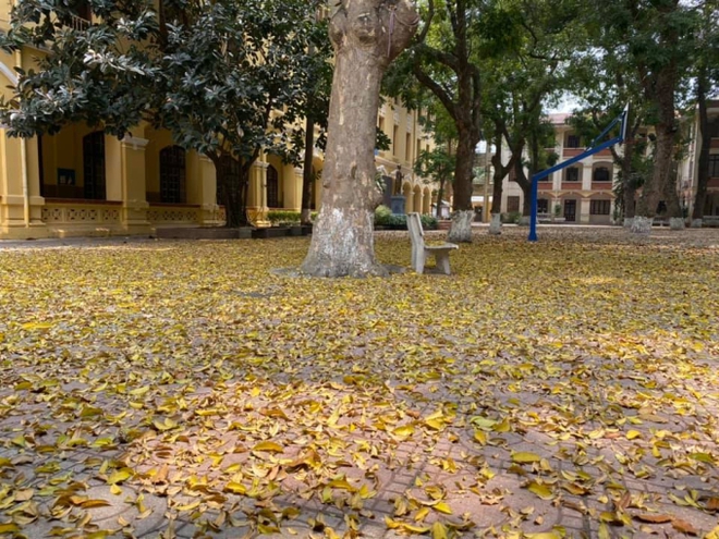 3 phút trầm trồ với màn dân vũ đắt giá tại ngôi trường có view đẹp nhất Hà Nội: Khi áo dài gặp mùa lá rụng!-5