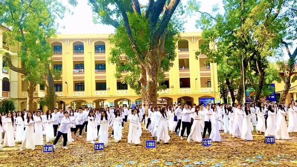 3 phút trầm trồ với màn dân vũ đắt giá tại ngôi trường có view đẹp nhất Hà Nội: Khi áo dài gặp mùa lá rụng!-2