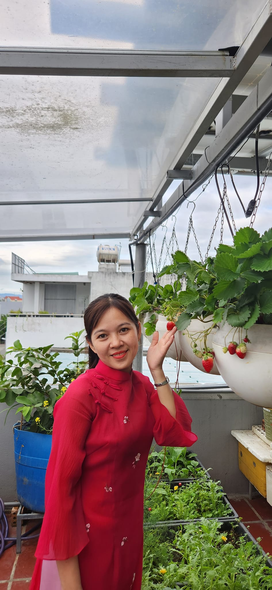 Mẹ đảm mê trồng cây sân thượng: Rau củ ăn quanh năm không hết phải mang tặng, vườn đẹp đến nỗi đồng nghiệp lẫn học sinh mầm non đến check-in-17