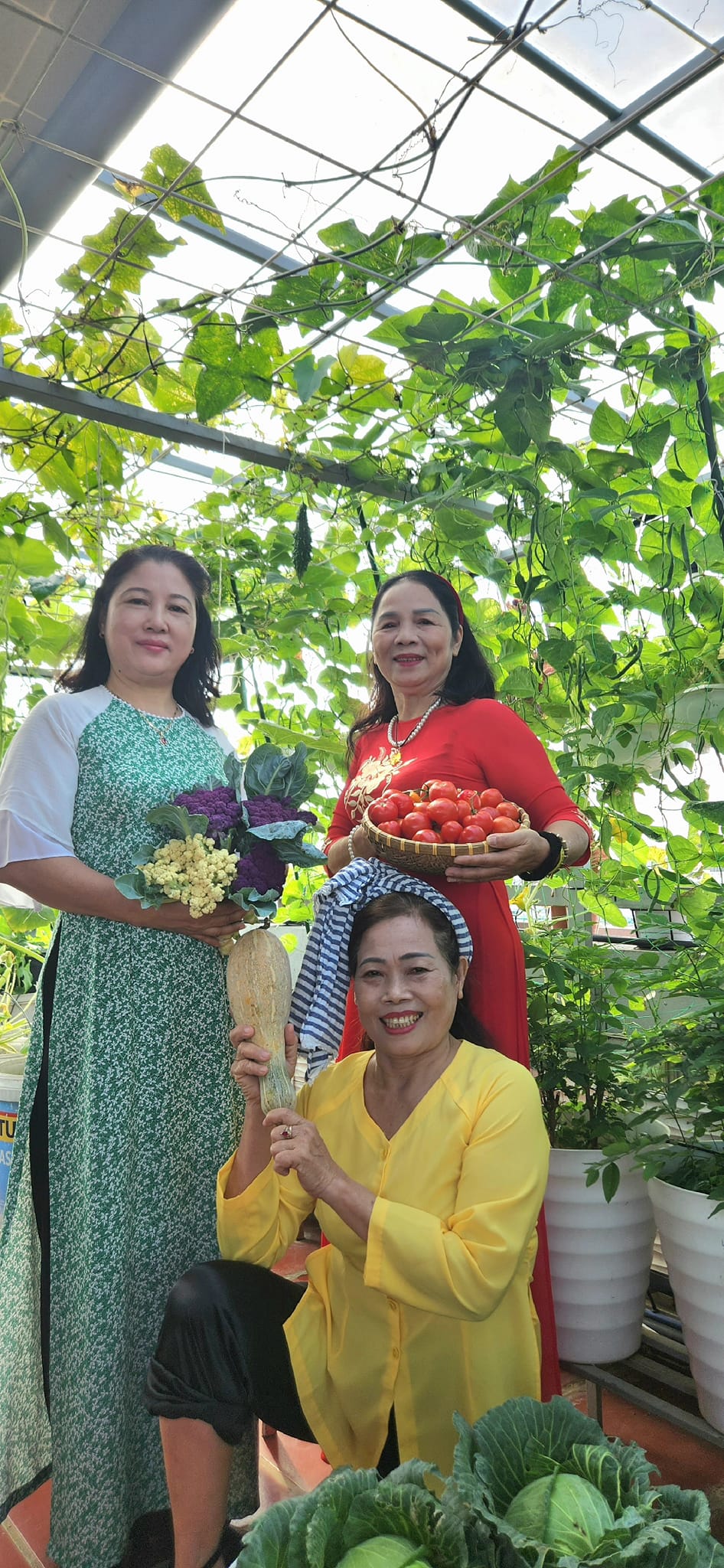 Mẹ đảm mê trồng cây sân thượng: Rau củ ăn quanh năm không hết phải mang tặng, vườn đẹp đến nỗi đồng nghiệp lẫn học sinh mầm non đến check-in-22