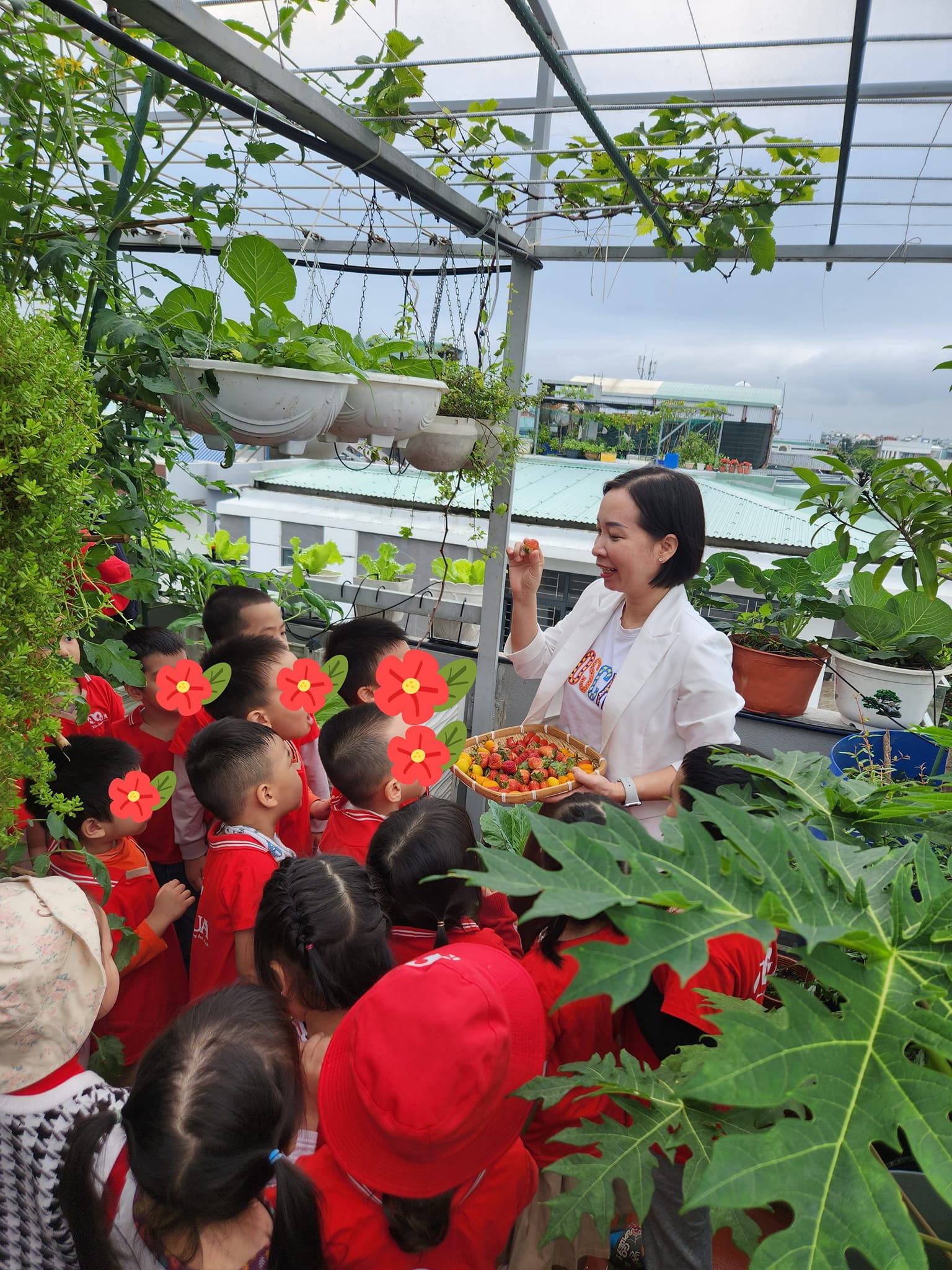 Mẹ đảm mê trồng cây sân thượng: Rau củ ăn quanh năm không hết phải mang tặng, vườn đẹp đến nỗi đồng nghiệp lẫn học sinh mầm non đến check-in-25