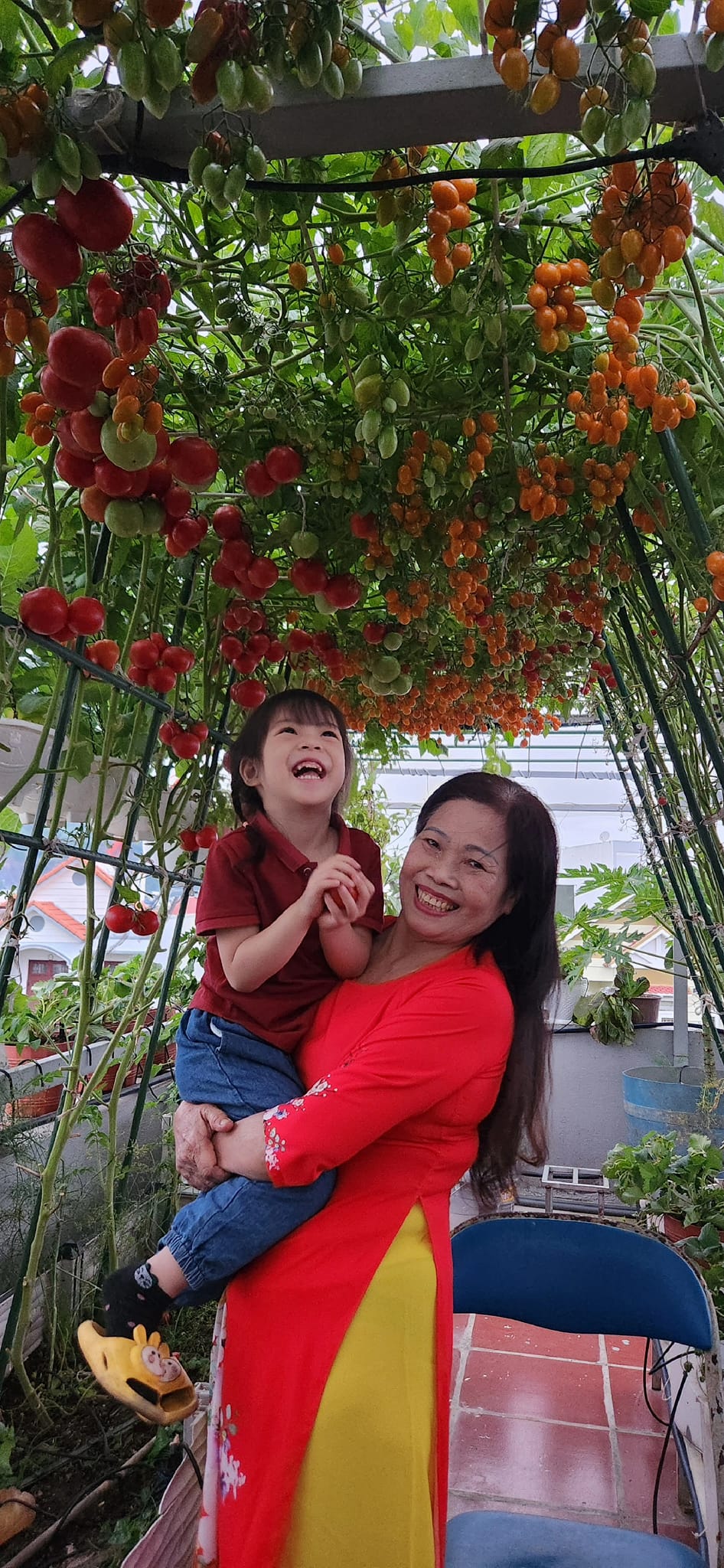 Mẹ đảm mê trồng cây sân thượng: Rau củ ăn quanh năm không hết phải mang tặng, vườn đẹp đến nỗi đồng nghiệp lẫn học sinh mầm non đến check-in-26