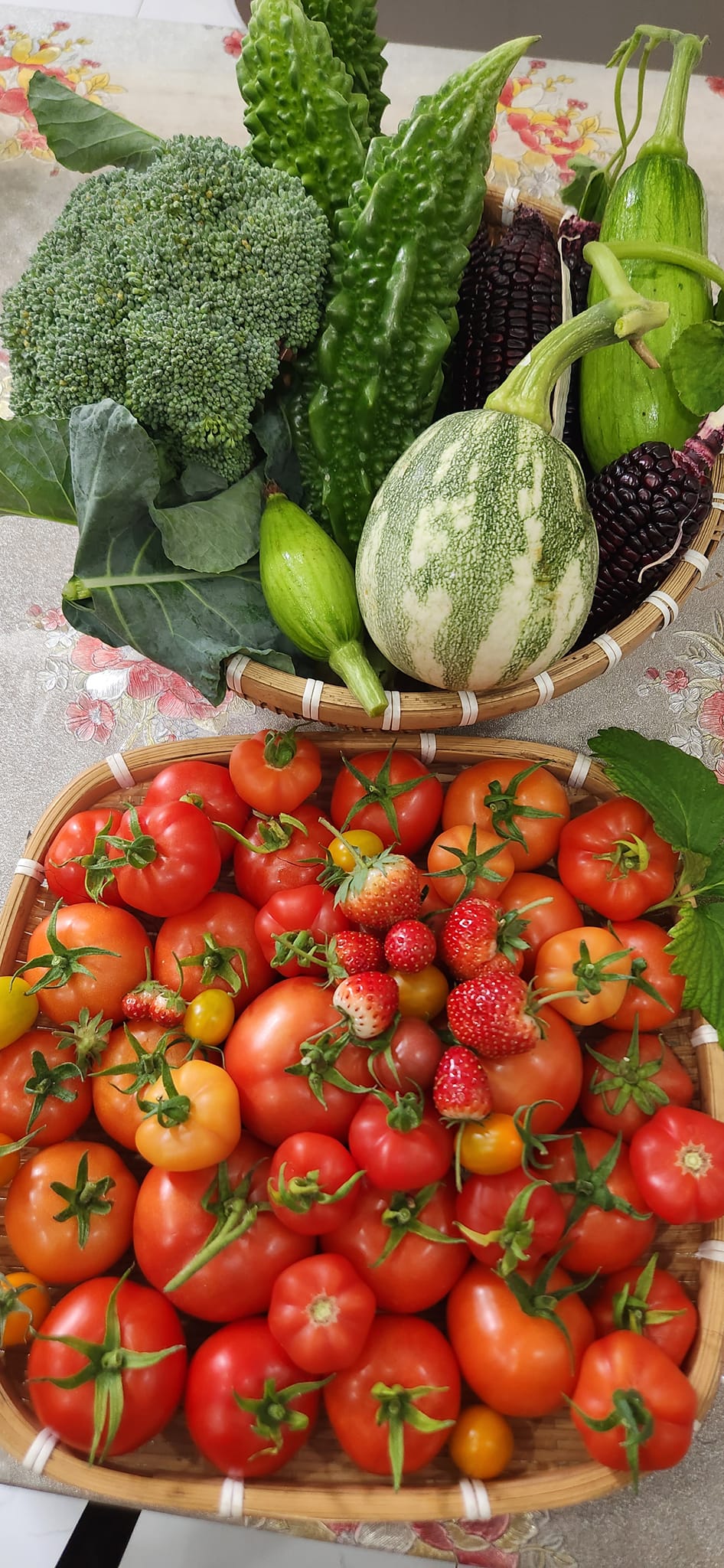 Mẹ đảm mê trồng cây sân thượng: Rau củ ăn quanh năm không hết phải mang tặng, vườn đẹp đến nỗi đồng nghiệp lẫn học sinh mầm non đến check-in-29