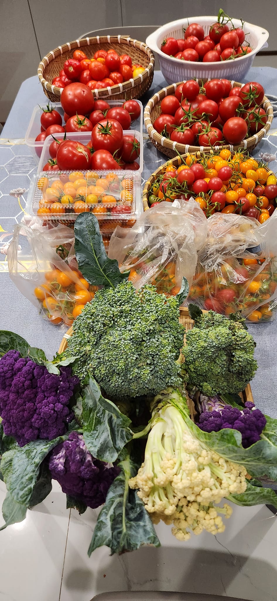 Mẹ đảm mê trồng cây sân thượng: Rau củ ăn quanh năm không hết phải mang tặng, vườn đẹp đến nỗi đồng nghiệp lẫn học sinh mầm non đến check-in-30