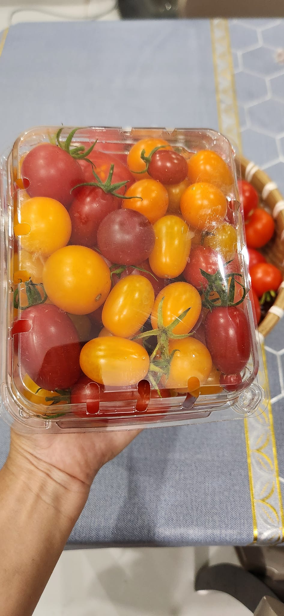 Mẹ đảm mê trồng cây sân thượng: Rau củ ăn quanh năm không hết phải mang tặng, vườn đẹp đến nỗi đồng nghiệp lẫn học sinh mầm non đến check-in-33