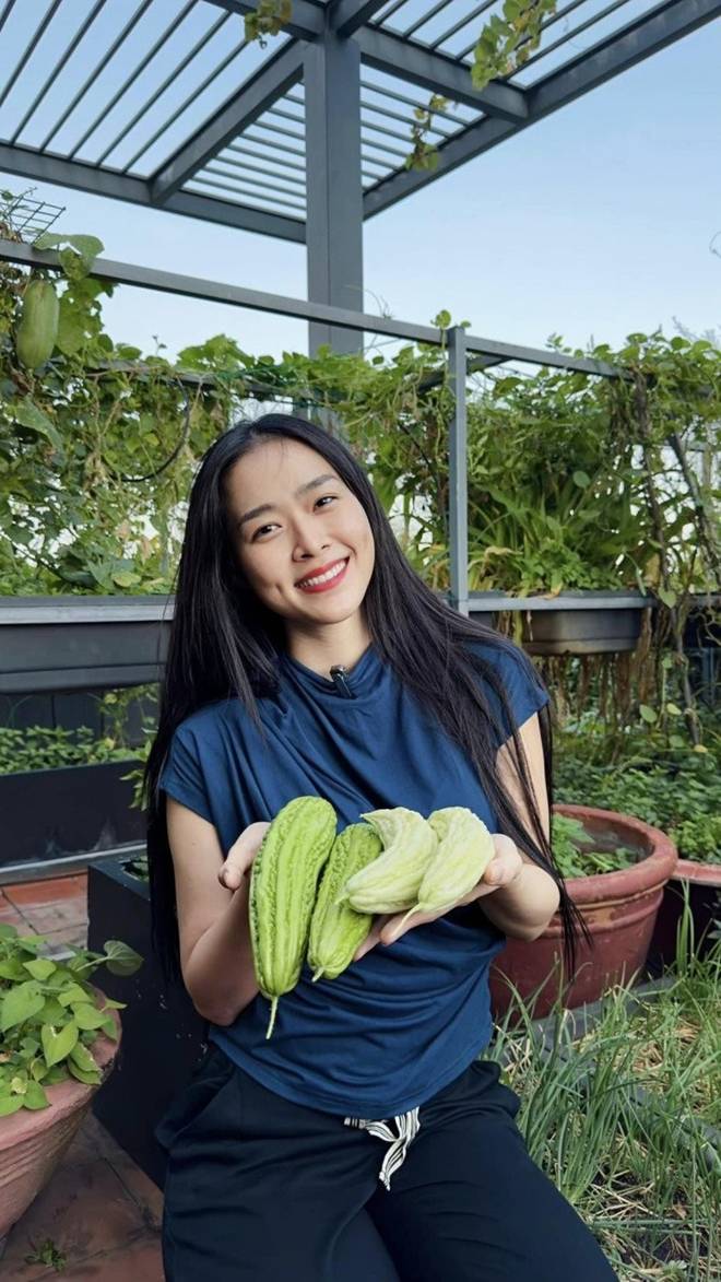 Mẹ con Diệp Bảo Ngọc thu hoạch rau trái hoành tráng trên khu vườn trên cao, ai cũng khen đã con mắt-1