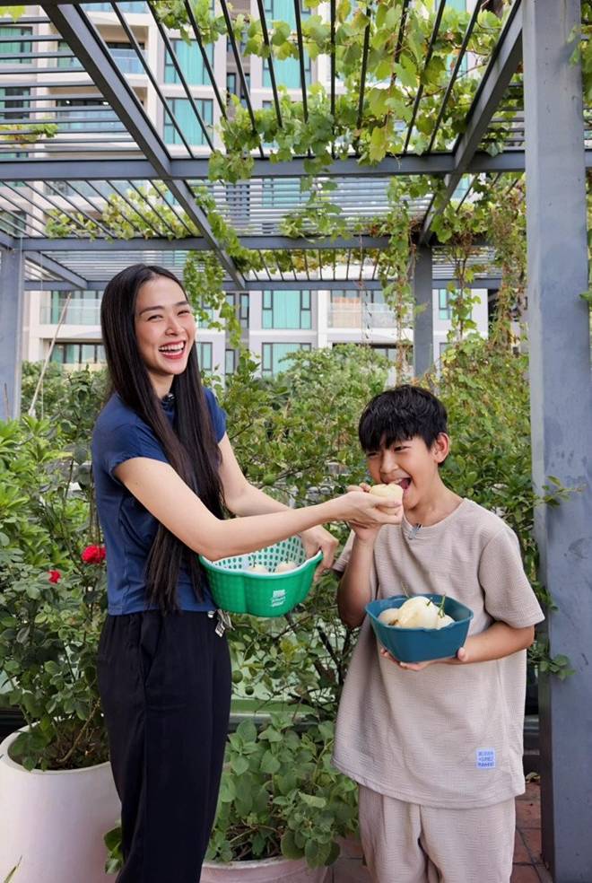 Mẹ con Diệp Bảo Ngọc thu hoạch rau trái hoành tráng trên khu vườn trên cao, ai cũng khen đã con mắt-3