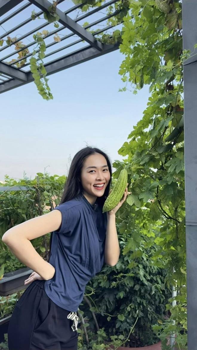 Mẹ con Diệp Bảo Ngọc thu hoạch rau trái hoành tráng trên khu vườn trên cao, ai cũng khen đã con mắt-4