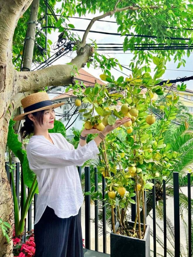 Mẹ con Diệp Bảo Ngọc thu hoạch rau trái hoành tráng trên khu vườn trên cao, ai cũng khen đã con mắt-11