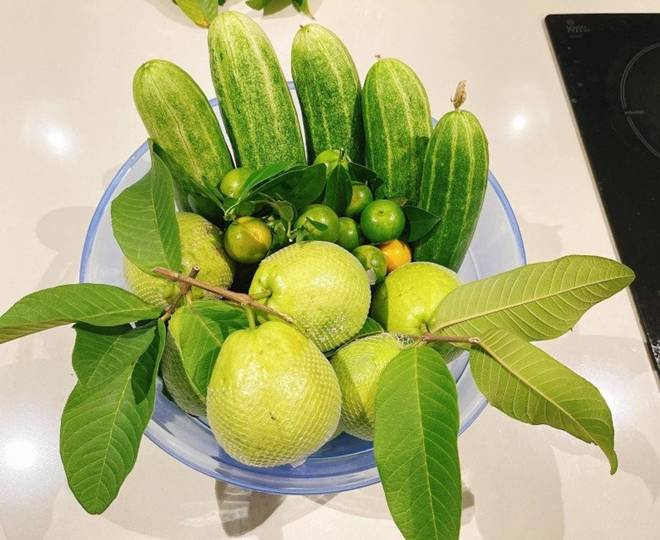 Mẹ con Diệp Bảo Ngọc thu hoạch rau trái hoành tráng trên khu vườn trên cao, ai cũng khen đã con mắt-15