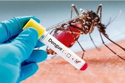 Đồng Nai ghi nhận ca tử vong do sốt xuất huyết đầu tiên trong năm 2024
