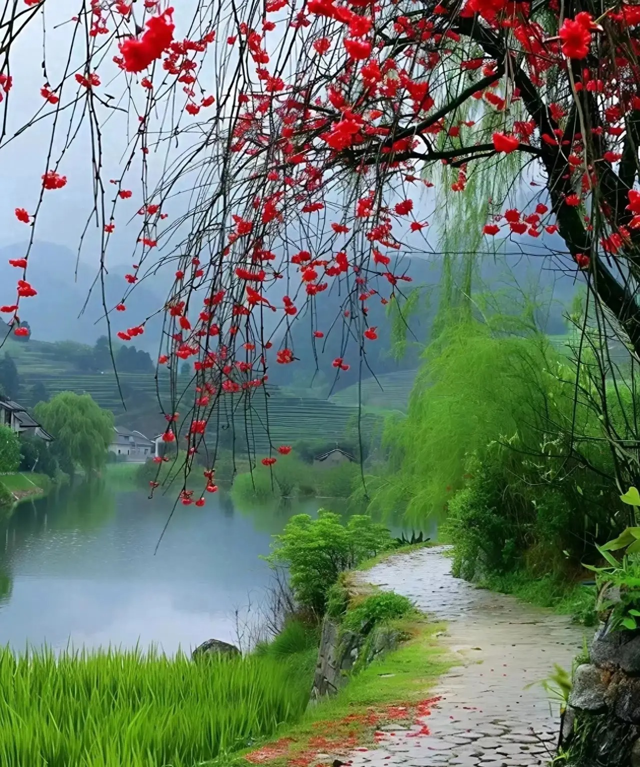 Nửa cuối năm 2024, 3 con giáp phá kén thành bướm, trở thành người chiến thắng trong cuộc sống-2