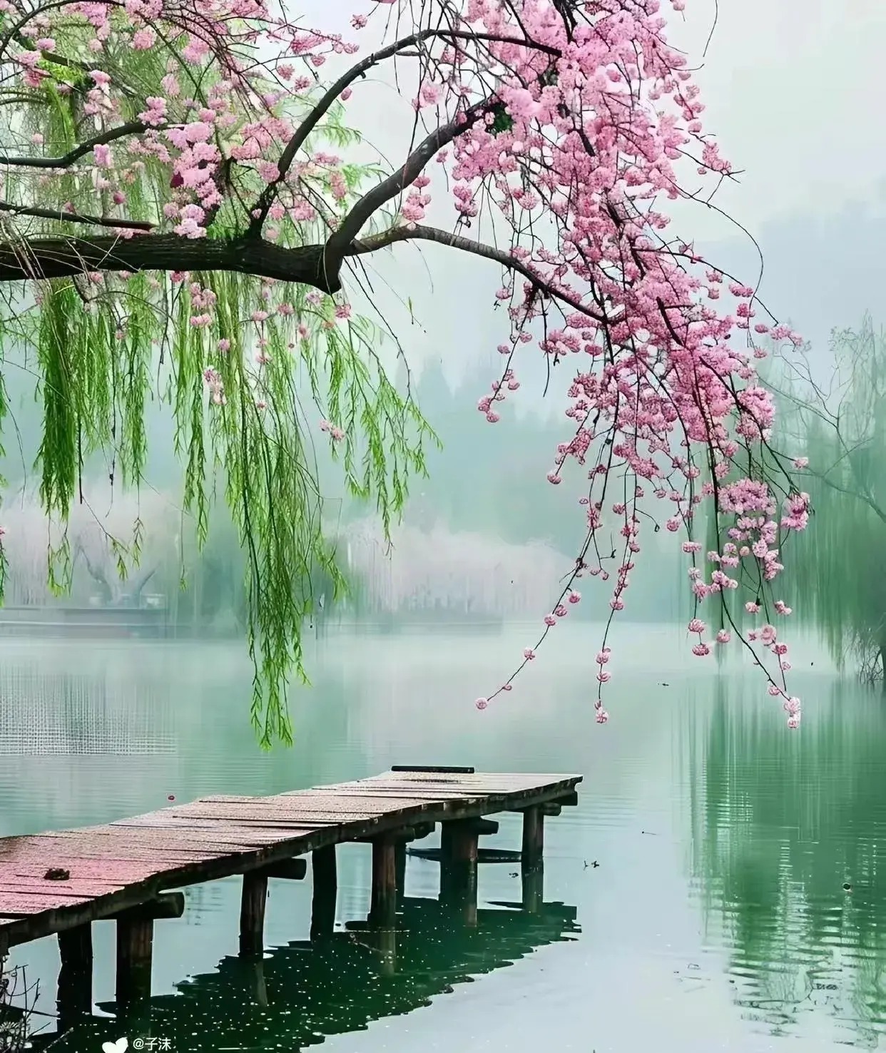 Nửa cuối năm 2024, 3 con giáp phá kén thành bướm, trở thành người chiến thắng trong cuộc sống-4