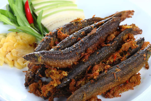 Việt Nam có 2 loại cá trường thọ” tốt ngang nhân sâm, tổ yến: Ăn vào giúp bổ máu, dưỡng thận, hạ đường huyết hiệu quả-1