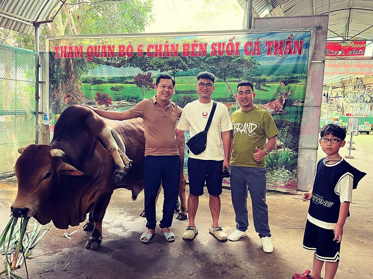 Con bò độc nhất vô nhị” ở Thanh Hóa, được trả gần 6 tỷ đồng nhưng chủ nhân không bán-5
