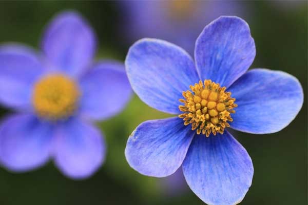 Mùa hè, 4 con giáp mở cánh cửa thành công, gặp gỡ quý nhân, sự nghiệp đột phá, tích lũy thêm của cải-5